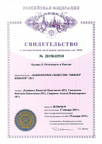 Свидетельство Роспатента об официальной регистрации программы для ЭВМ № 2019611510
